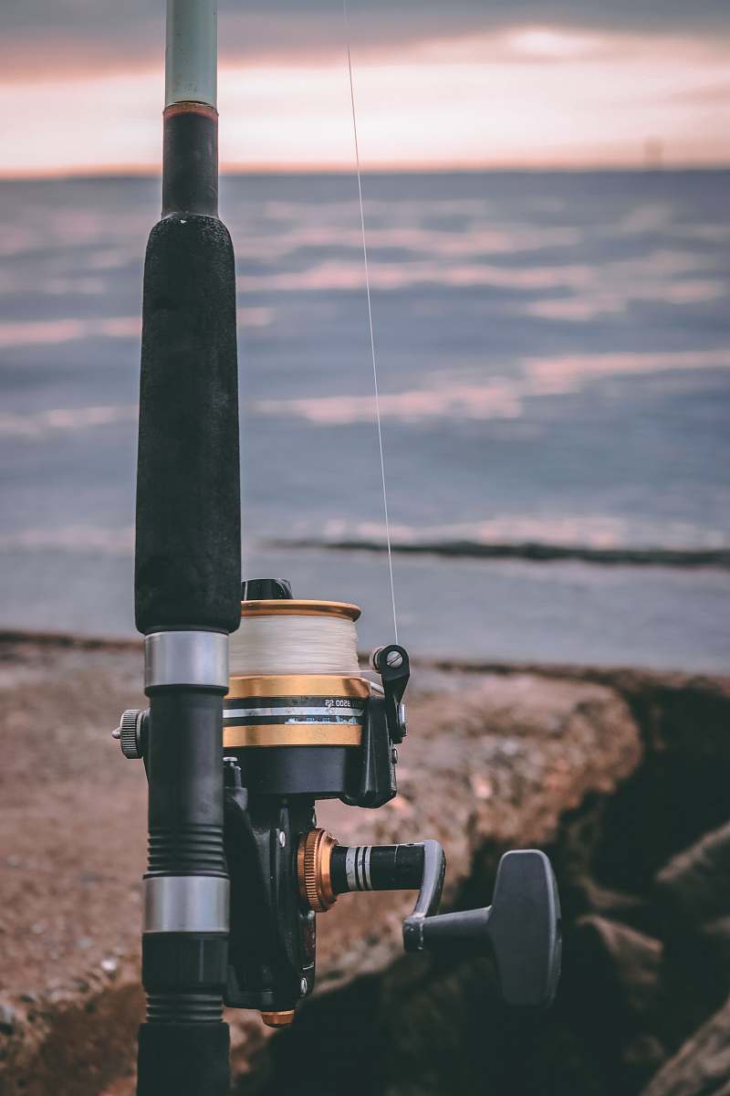 port saint joe black and gold fishing rod near water united states